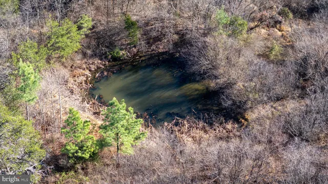 a view of a yard next to a house