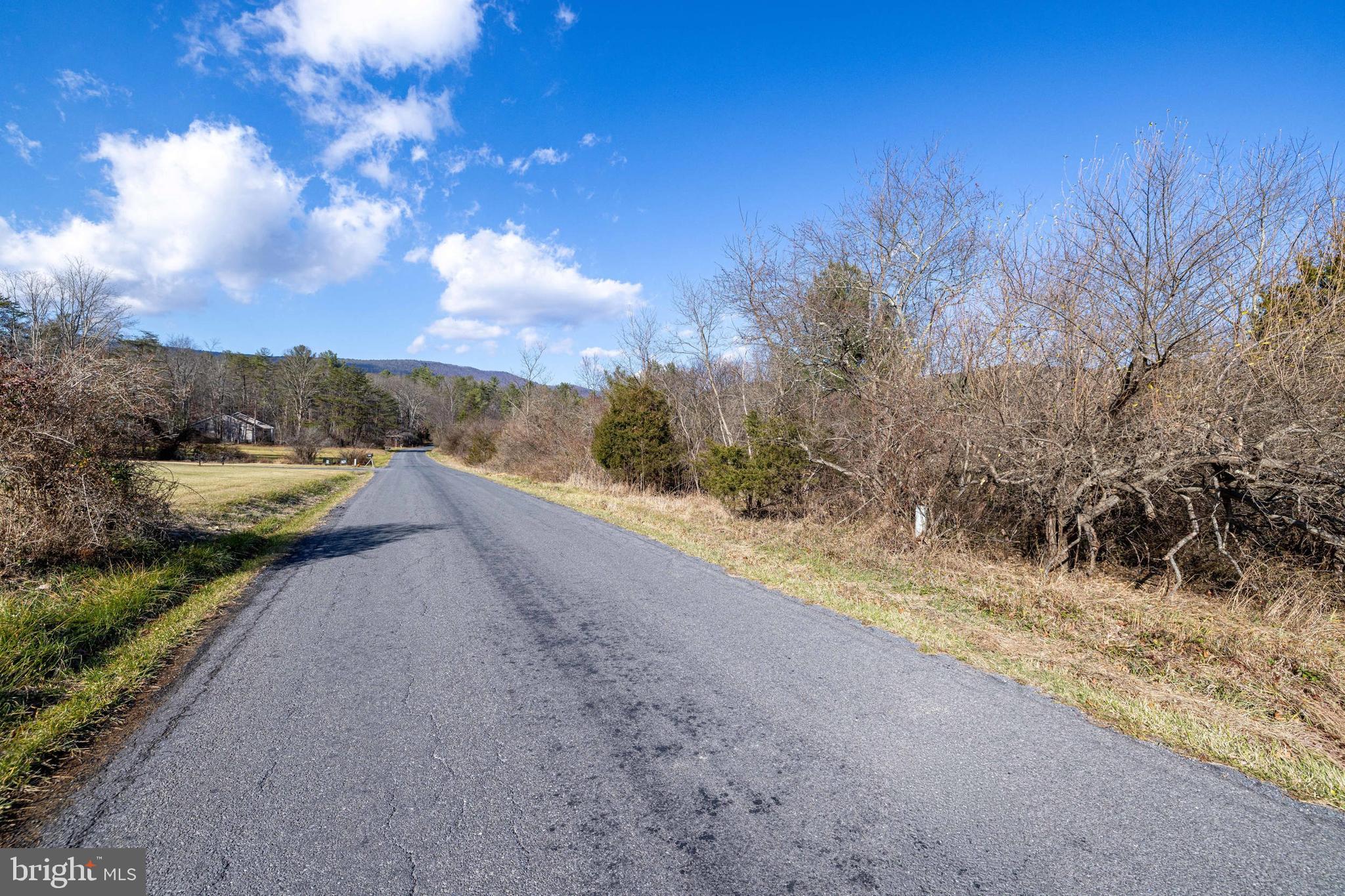 Dellinger Gap Road Edinburg, VA 22824 - Photo 8 of 13