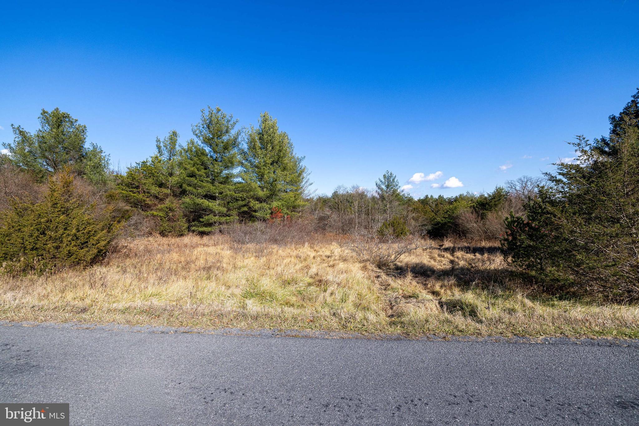 Dellinger Gap Road Edinburg, VA 22824 - Photo 10 of 13