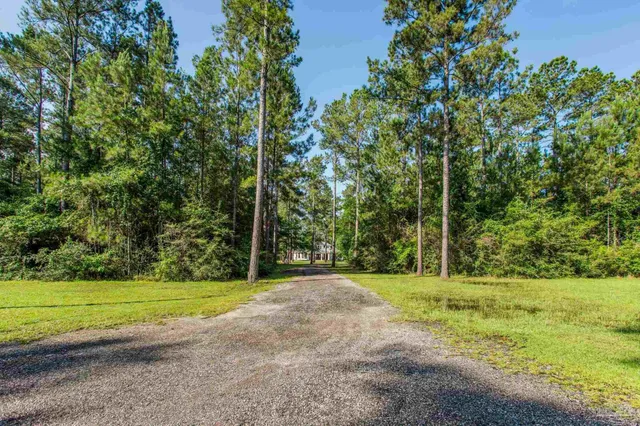 a view of a park with large trees