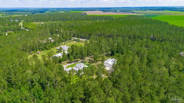 a view of a lush green space with sea