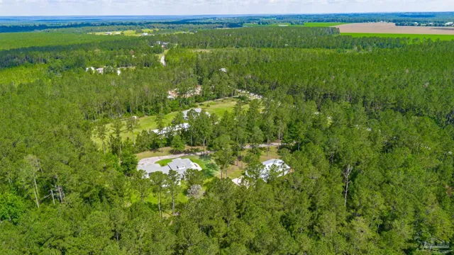 a view of a lush green space with sea