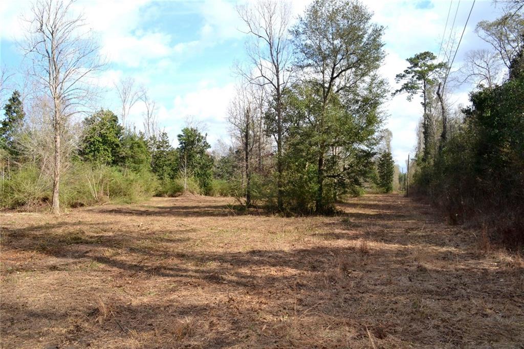 16009 Riverside Drive Covington, LA 70435 - Photo 3 of 10 Gallery Image 3