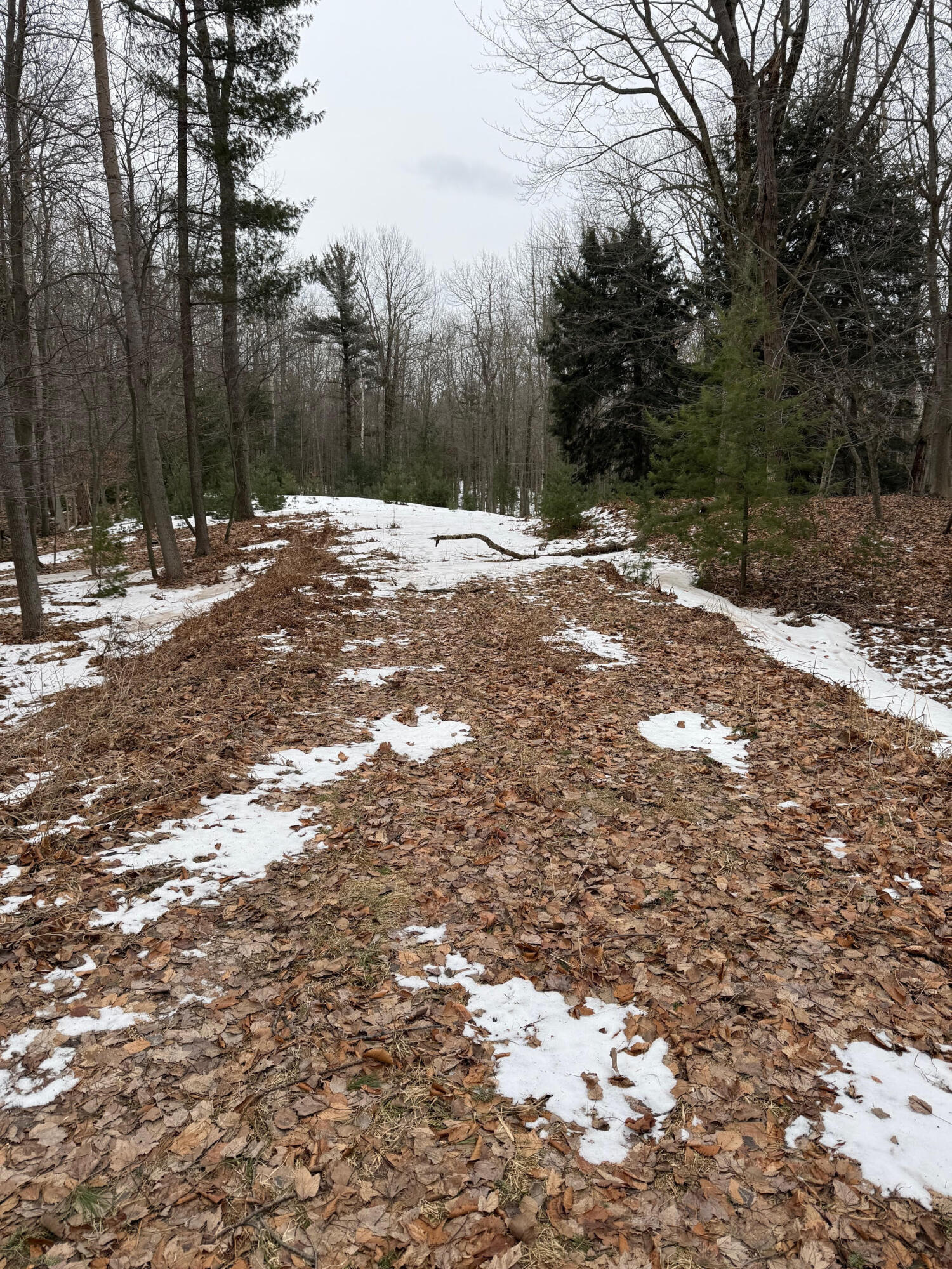 West Fox Farm Road Manistee, MI 49660 - Photo 1 of 12 Driveway