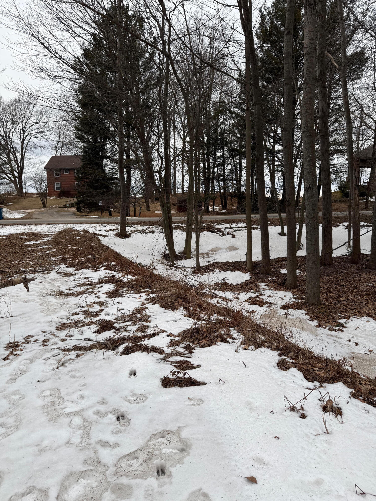 West Fox Farm Road Manistee, MI 49660 - Photo 11 of 12 Looking west