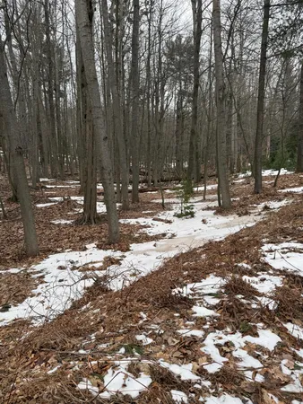 $165,000 | West Fox Farm Road, Manistee, MI 49660