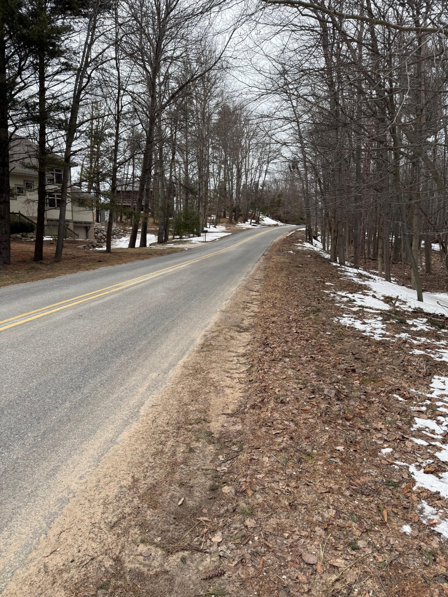 West Fox Farm Road Manistee, MI 49660 - Photo 9 of 12 Looking north on Fox Farm