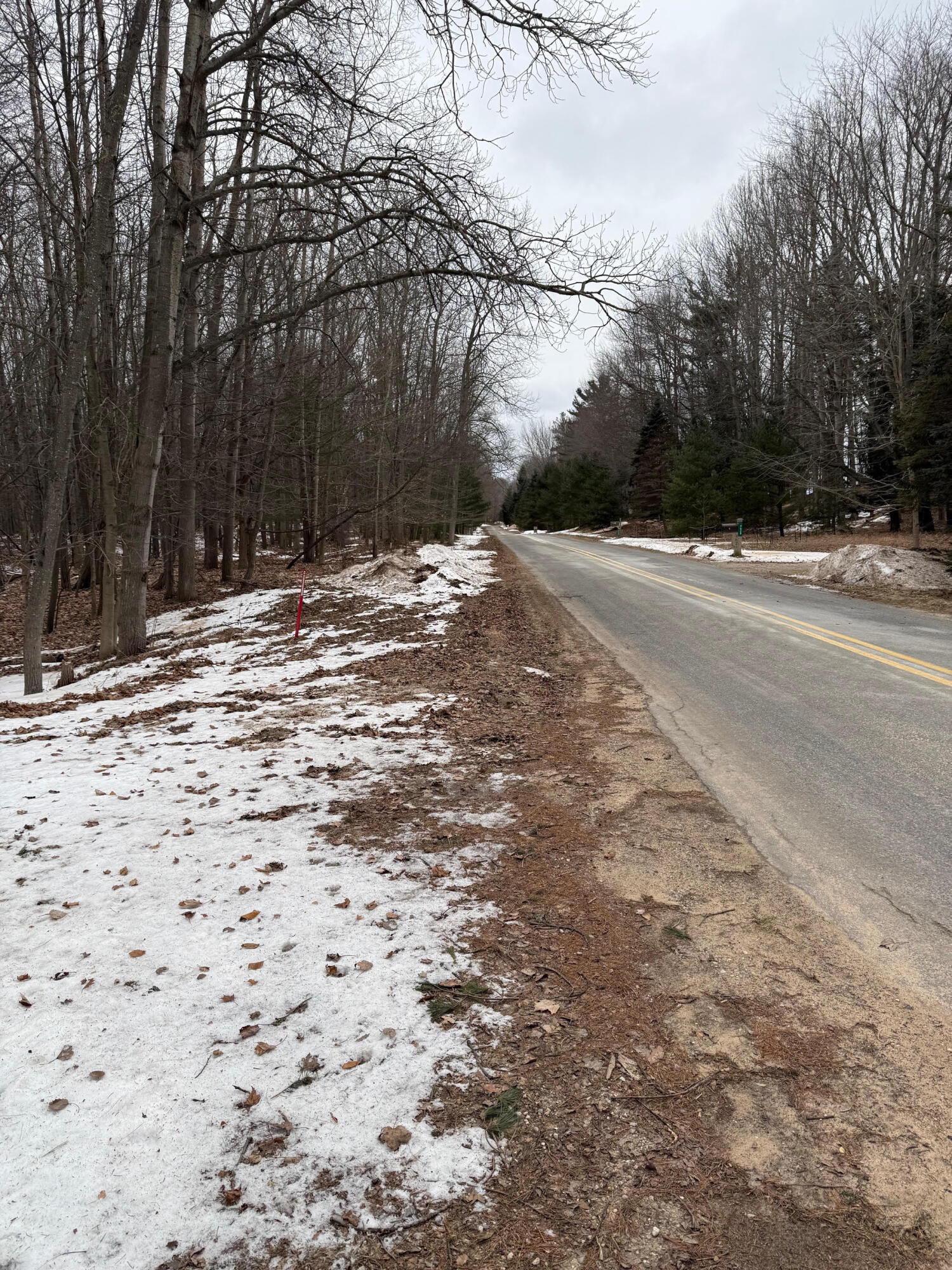 West Fox Farm Road Manistee, MI 49660 - Photo 10 of 12 Looking south on Fox farm