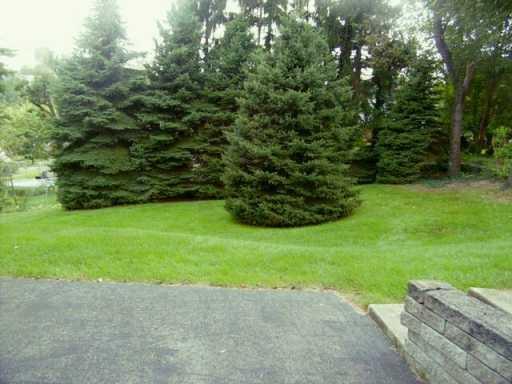 262 Hawthorne Road Washington, PA 15301 - Photo 3 of 3 Other.