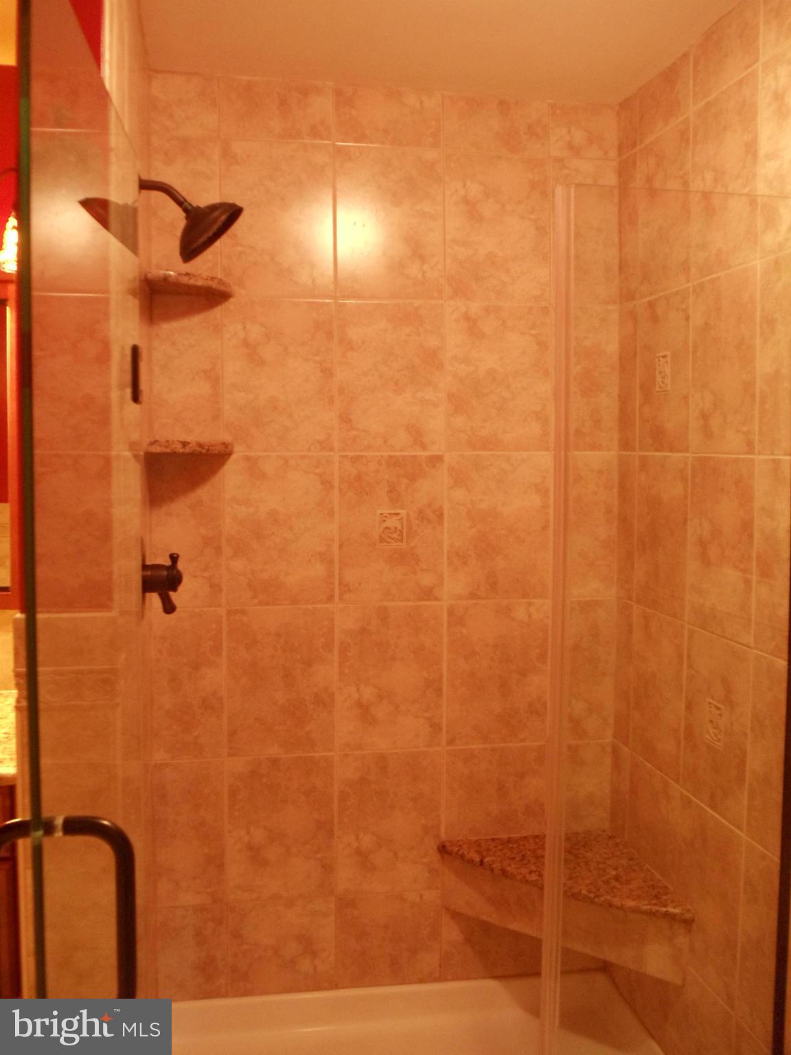 180 Chelsea Road Pasadena, MD 21122 - Photo 15 of 30 Custom ceramic tile in shower