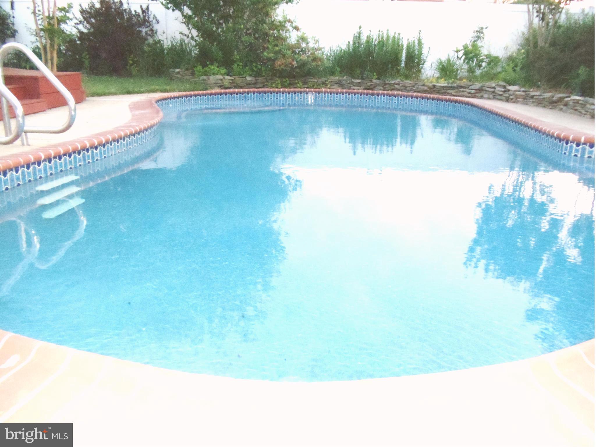180 Chelsea Road Pasadena, MD 21122 - Photo 23 of 30 Gorgeous Gunite, pebble-stone pool