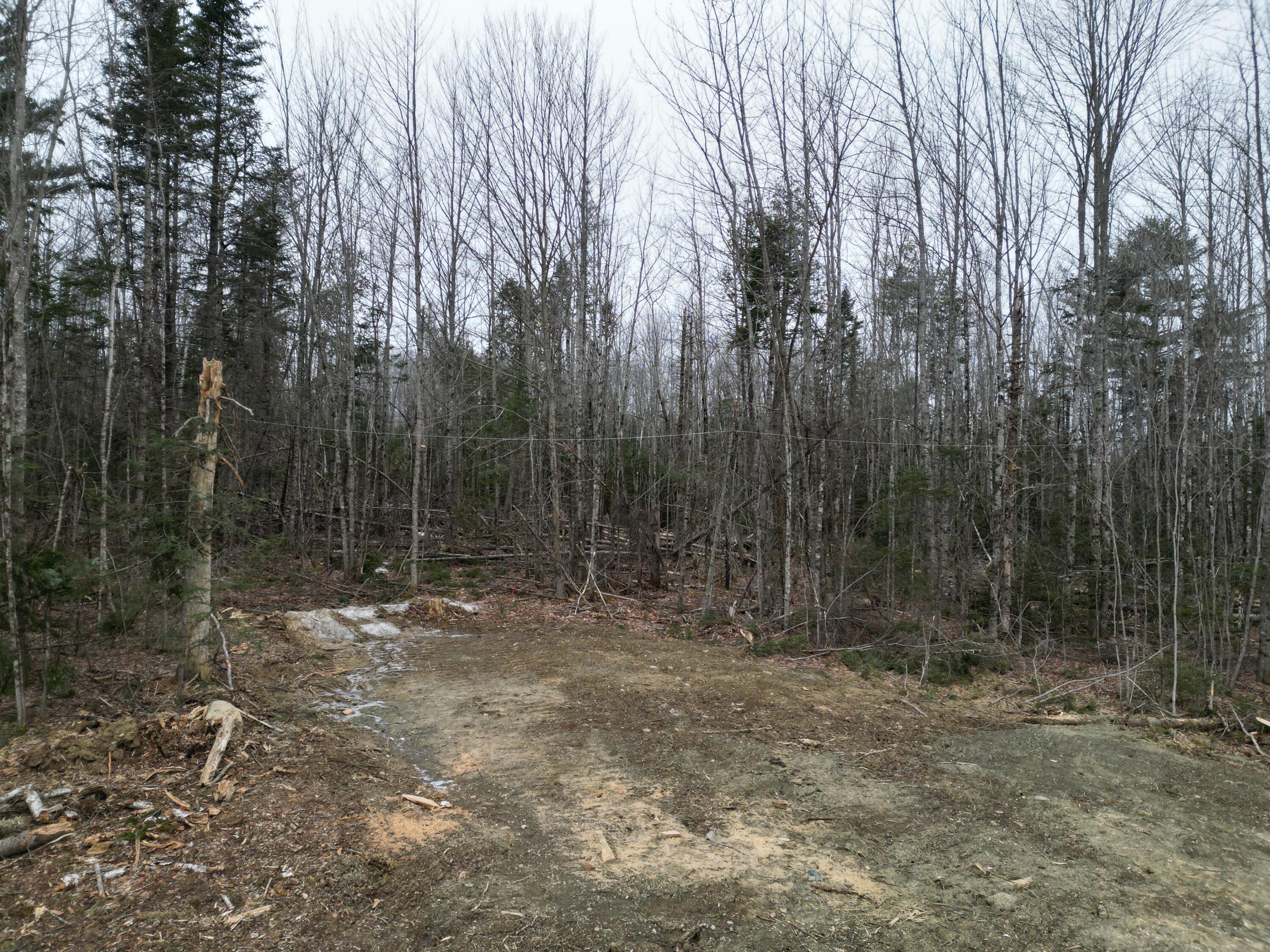 Lot 52.3 Lagrange Road Milo, ME 04463 - Photo 6 of 24 DJI_0235