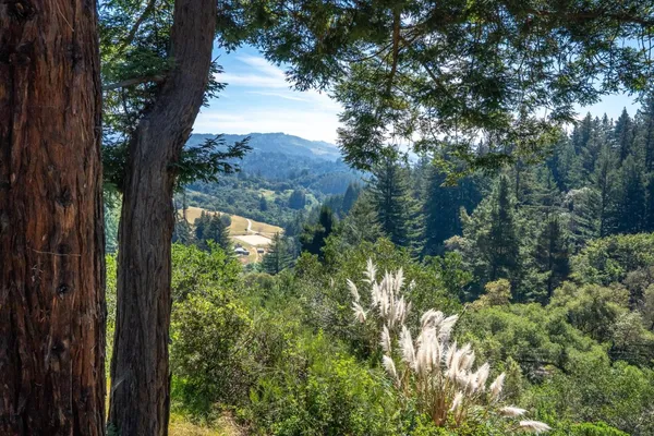 $1,329,000 | 630 Caudill Road, Watsonville, CA 95076