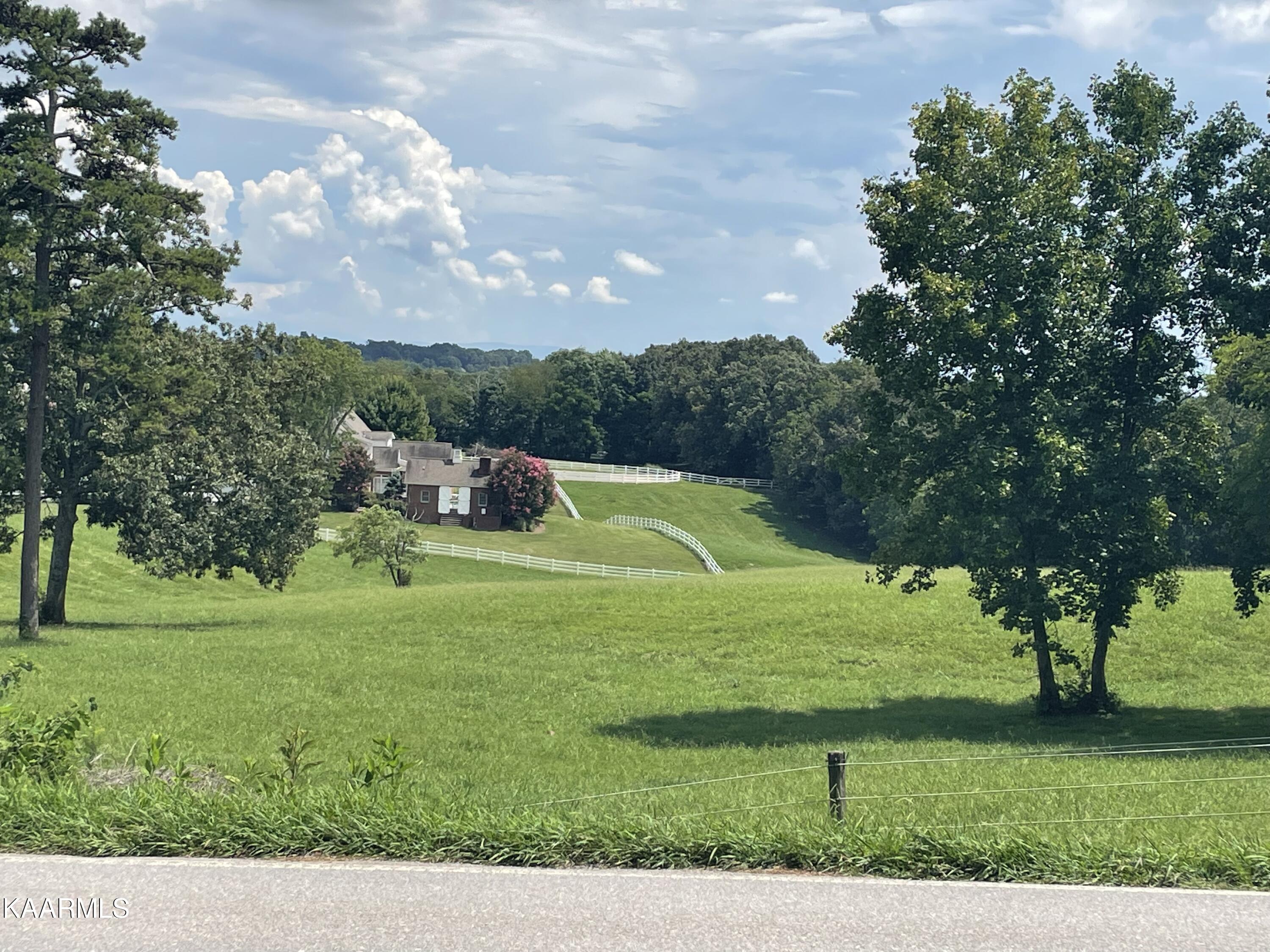 736 Everett Road Knoxville, TN 37934 - Photo 4 of 14 IMG-4587