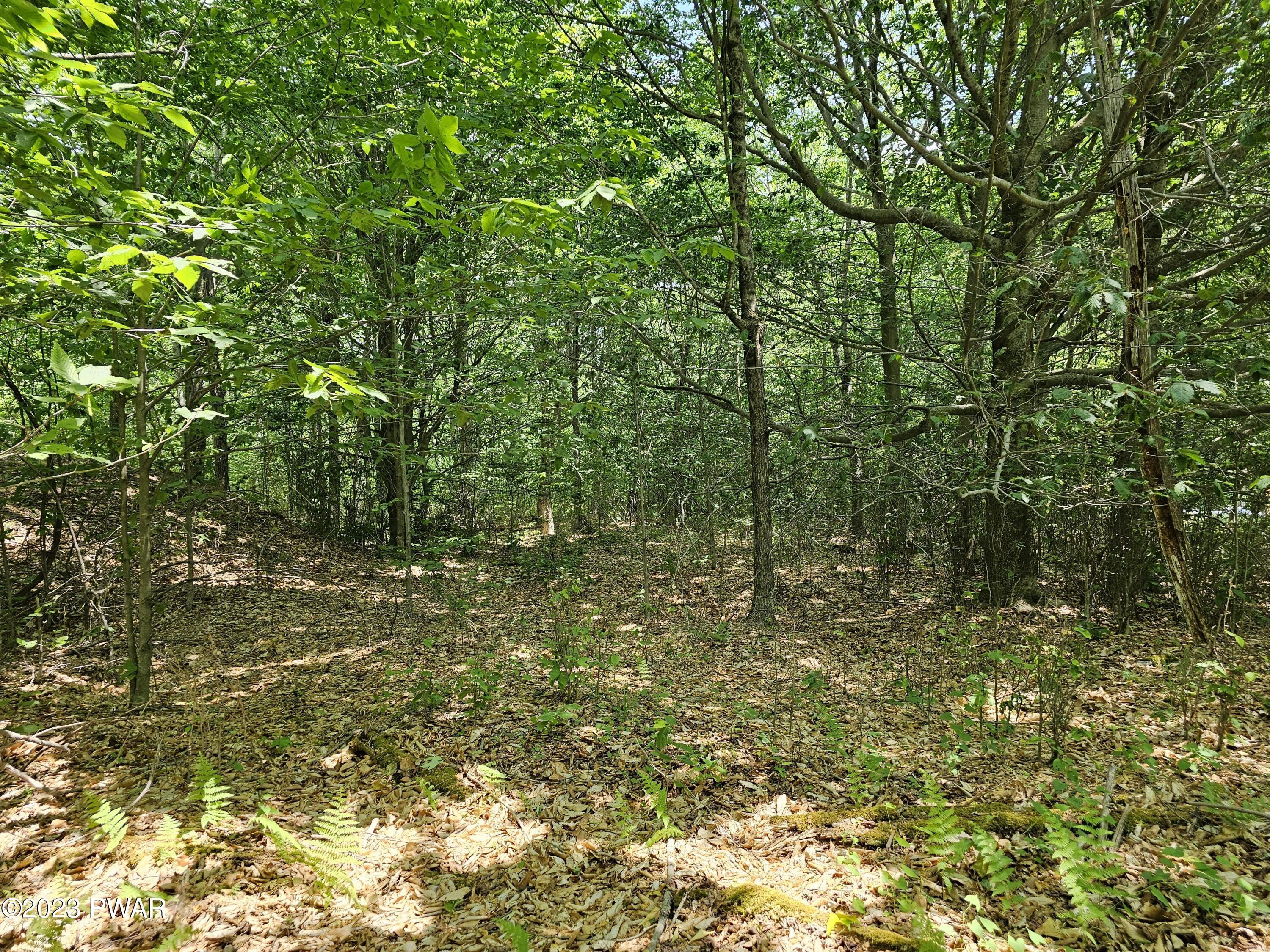 Lot 69 Stonegate Road Equinunk, PA 18417 - Photo 4 of 29