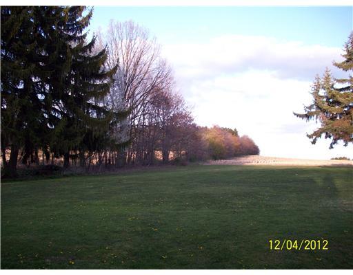 1177 Cornplanter Road Cabot, PA 16023 - Photo 3 of 9 Yard/Garden.
