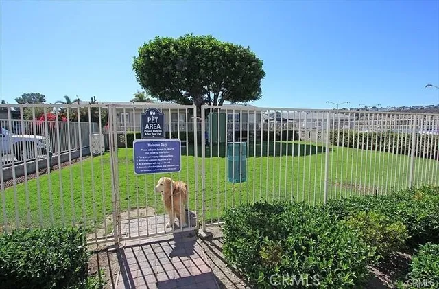 a view of a chair and table in the garden