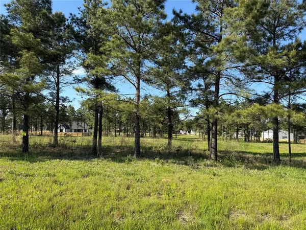 a view of yard with tree
