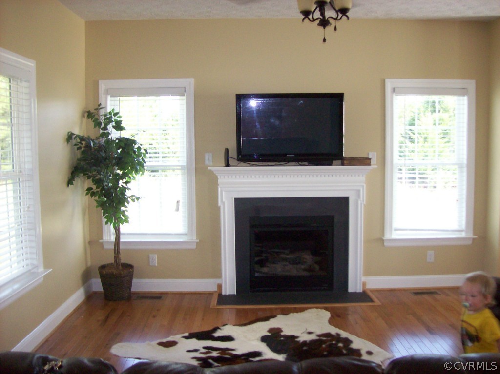 12427 Verdon Road Doswell, VA 23047 - Photo 3 of 24 Gallery Image 3