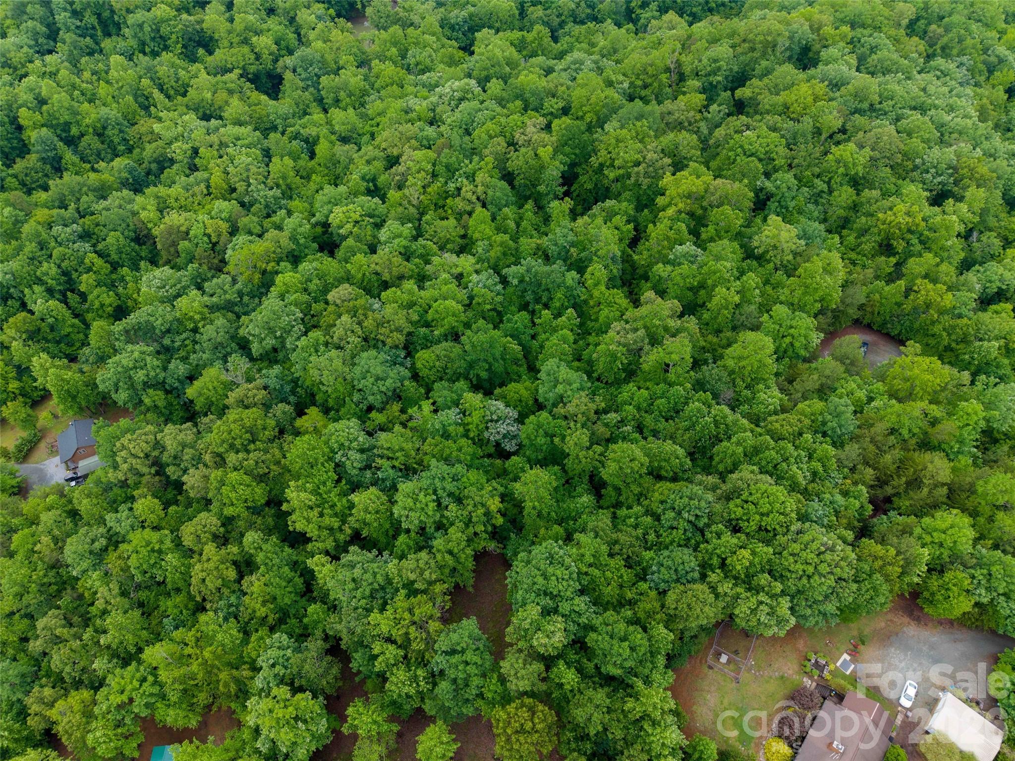 0 Bee Gee Drive Rutherfordton, NC 28139 - Photo 19 of 26