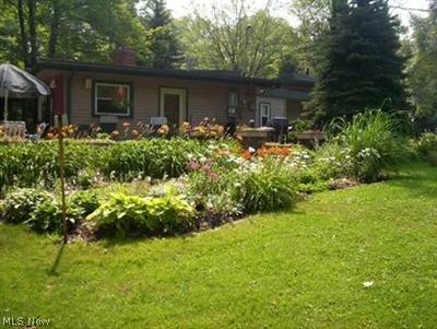580 Bandy Road North Benton, OH 44449 - Photo 1 of 1 Side yard.