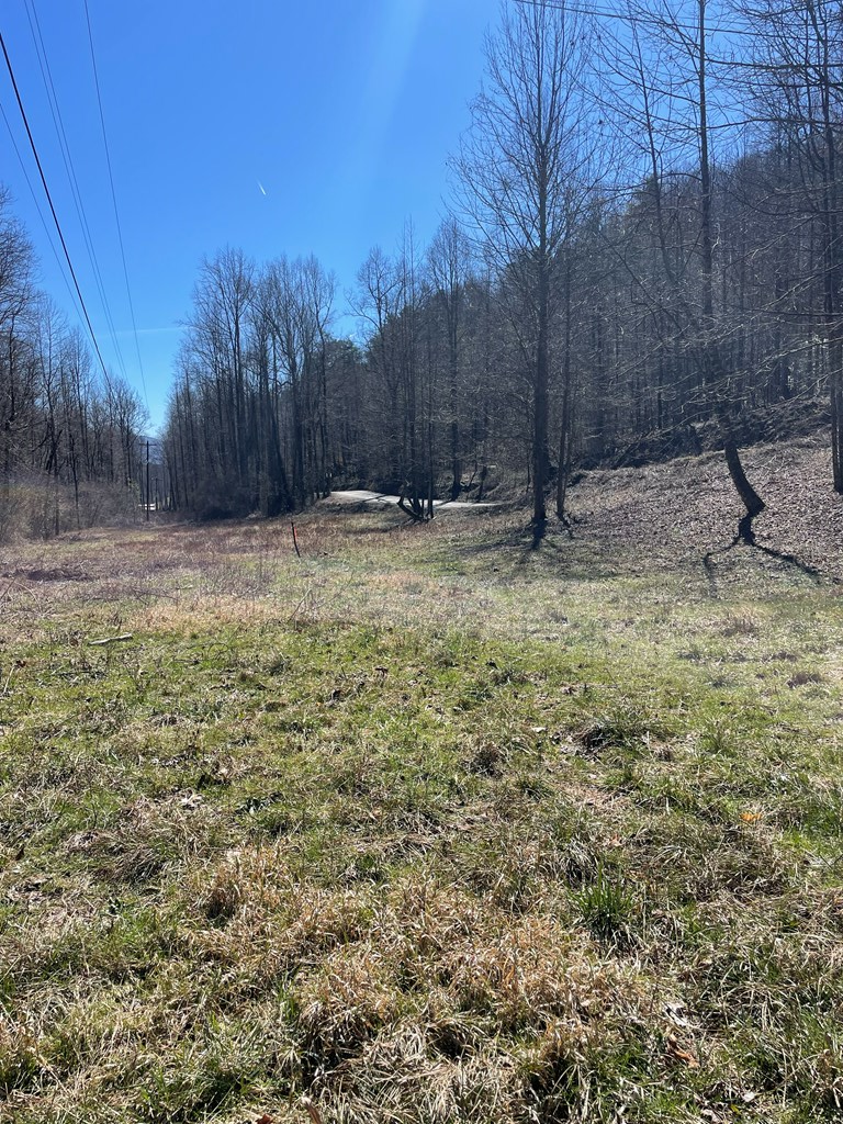 891 Bushy Head Road Cherry Log, GA 30522 - Photo 22 of 24