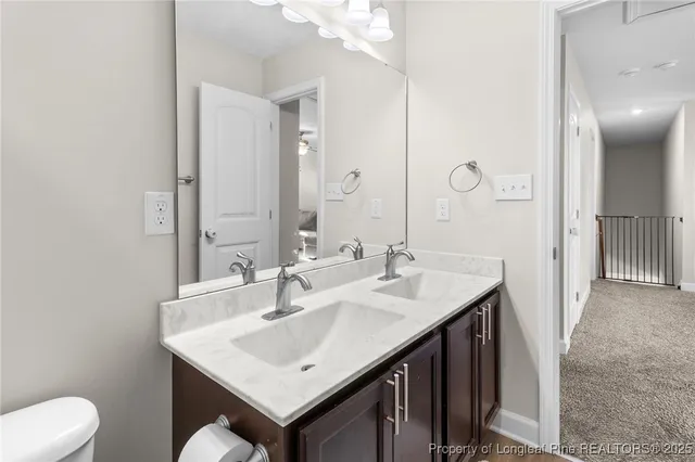 a bathroom with a sink and a toilet