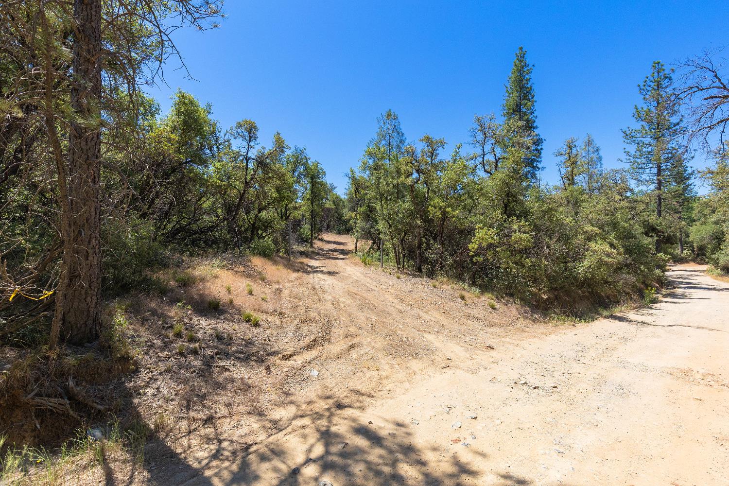 12996 Deadmans Flat Road Grass Valley, CA 95945 - Photo 5 of 12 a view of a yard covered with snow in the background