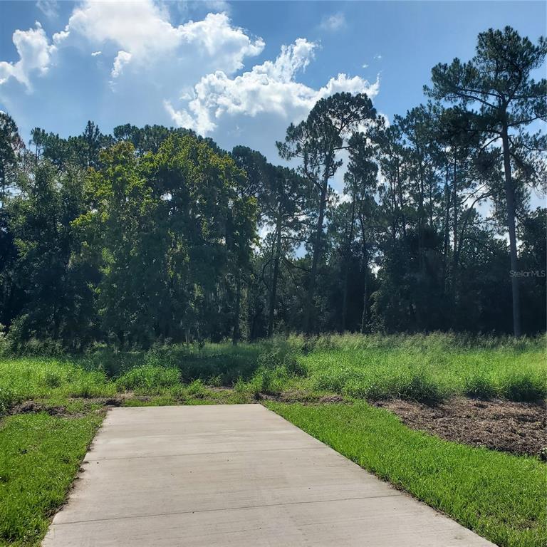 Pollard Road Winter Haven, FL 33884 - Photo 5 of 17 a view of a park