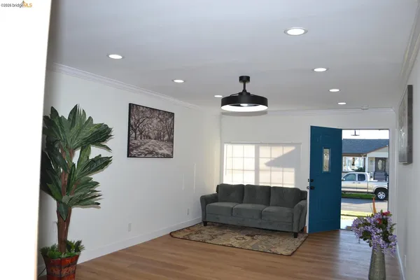 a living room with furniture and a potted plant