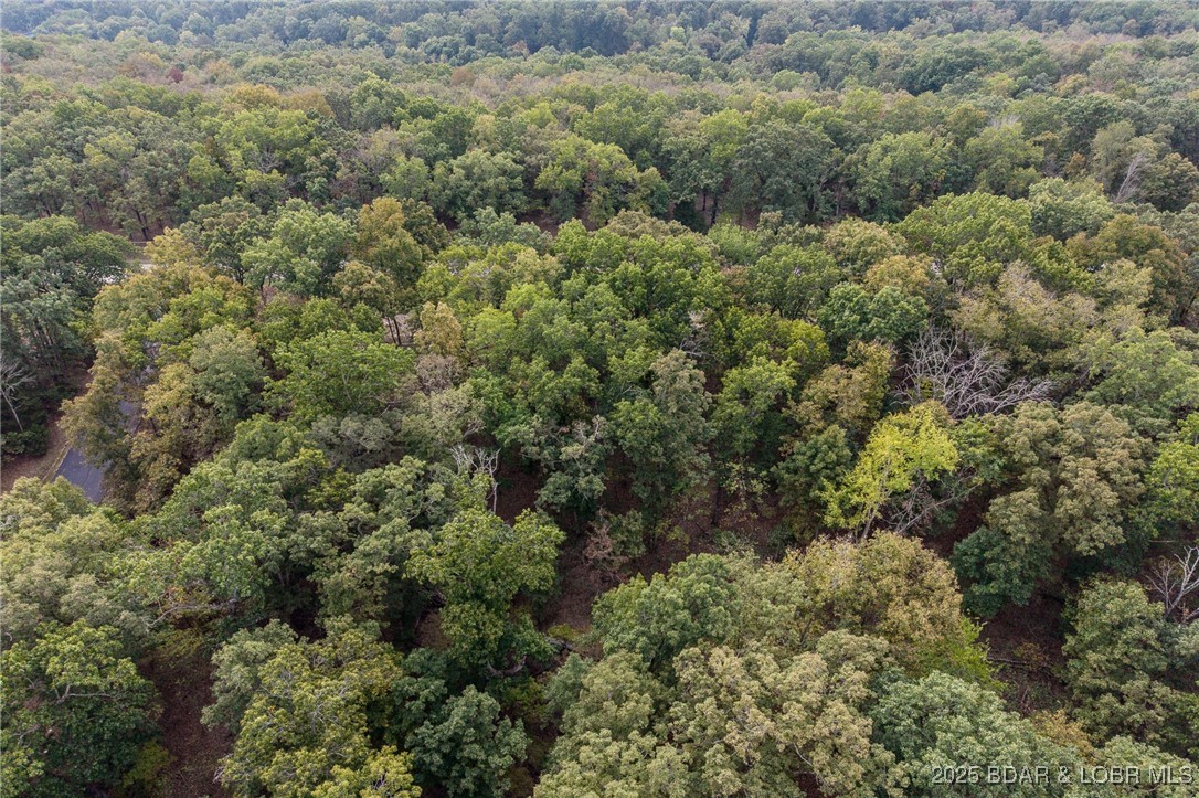 Lot 1077 Shawnee Bend Road Sunrise Beach, MO 65079 - Photo 12 of 27