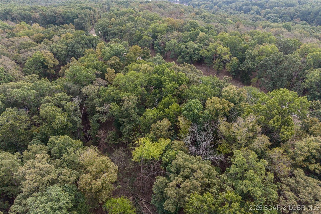 Lot 1077 Shawnee Bend Road Sunrise Beach, MO 65079 - Photo 13 of 27