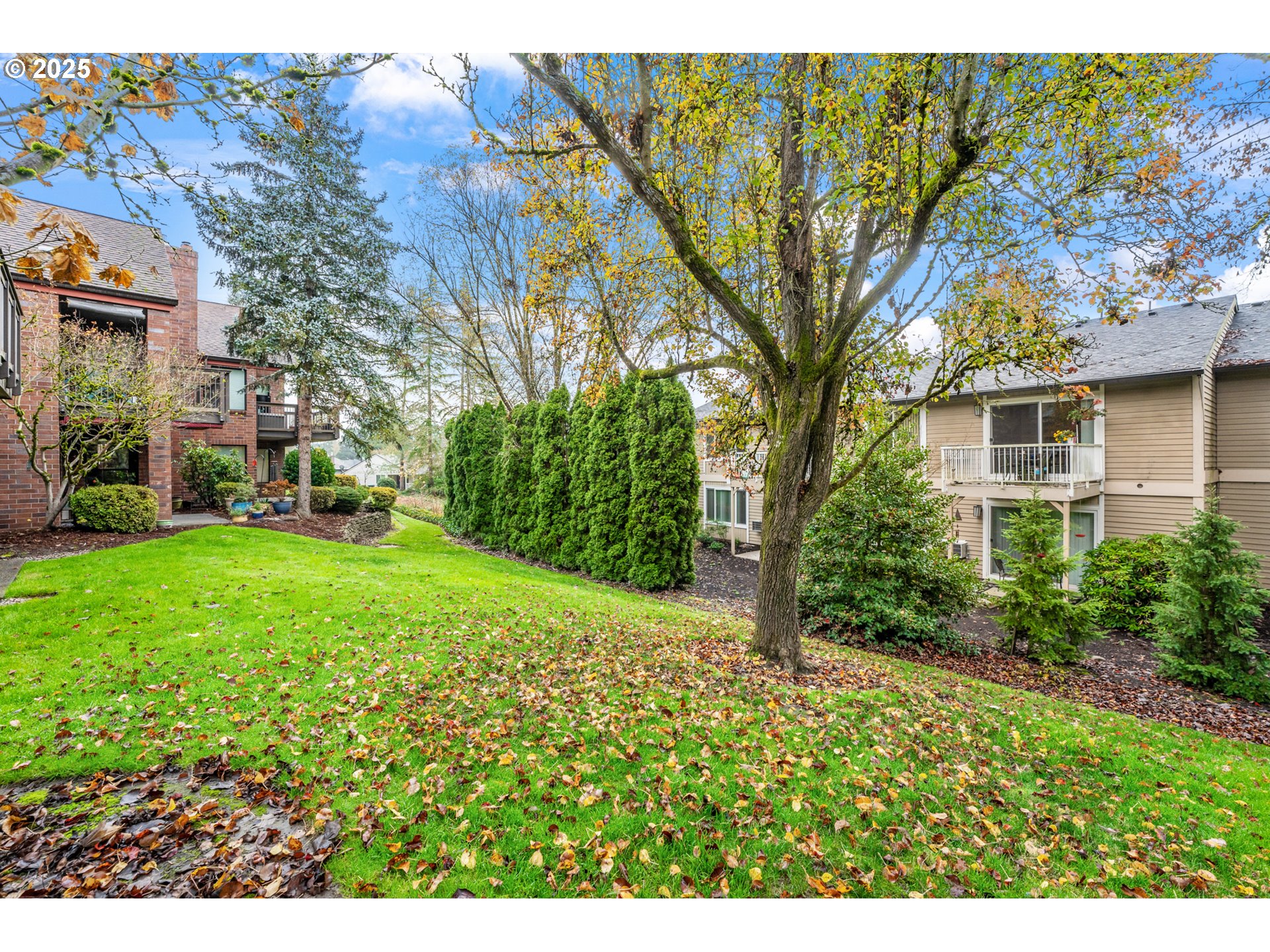 15514 Southwest 114th Court, Unit 61 Tigard, OR 97224 - Photo 28 of 35 a view of a yard with plants and trees