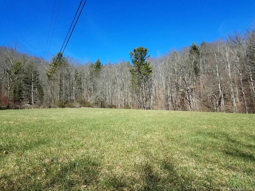 0 Cub Howell Road Bakersville, NC 28705 - Photo 2 of 7 a view of a yard