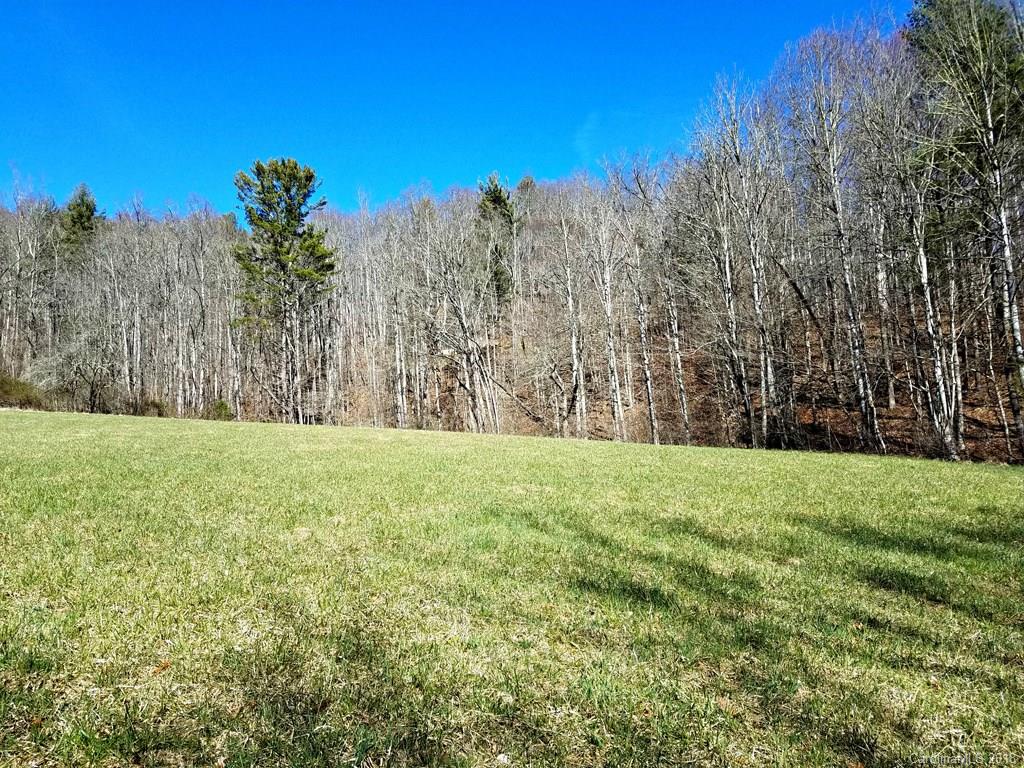 0 Cub Howell Road Bakersville, NC 28705 - Photo 3 of 7 a view of a yard with large trees