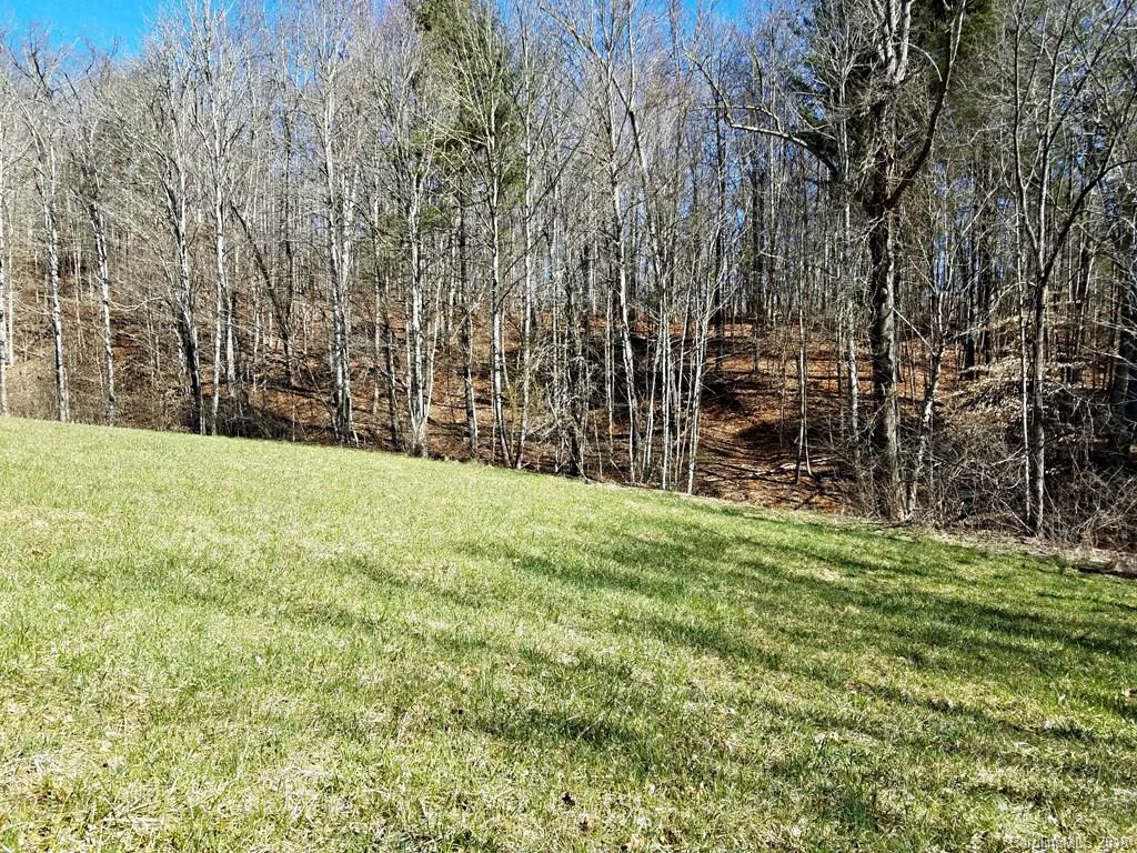 0 Cub Howell Road Bakersville, NC 28705 - Photo 4 of 7 a view of open space with trees