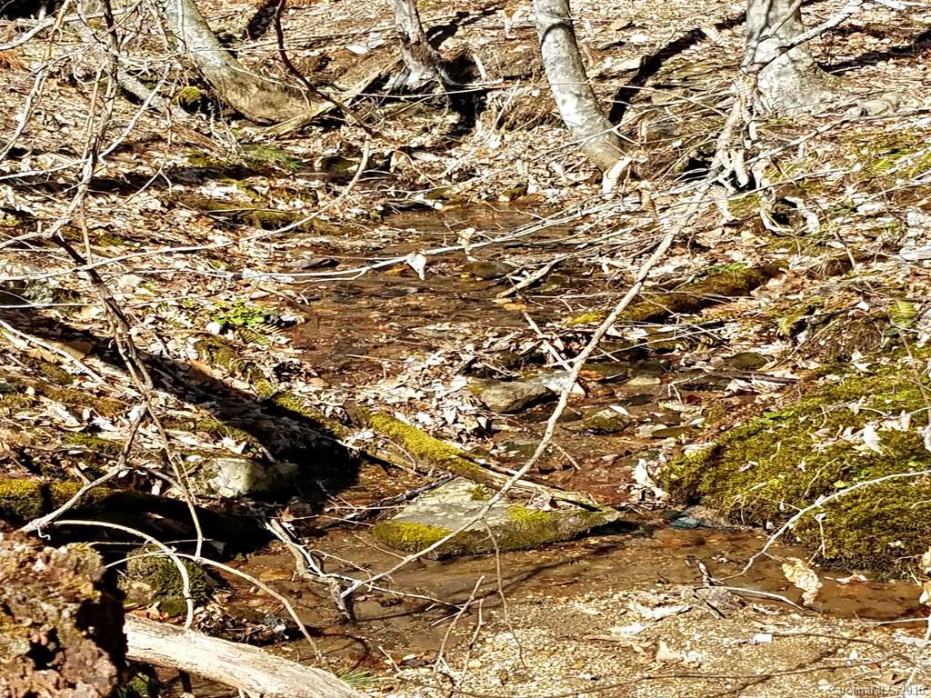 0 Cub Howell Road Bakersville, NC 28705 - Photo 6 of 7 a picture of tree
