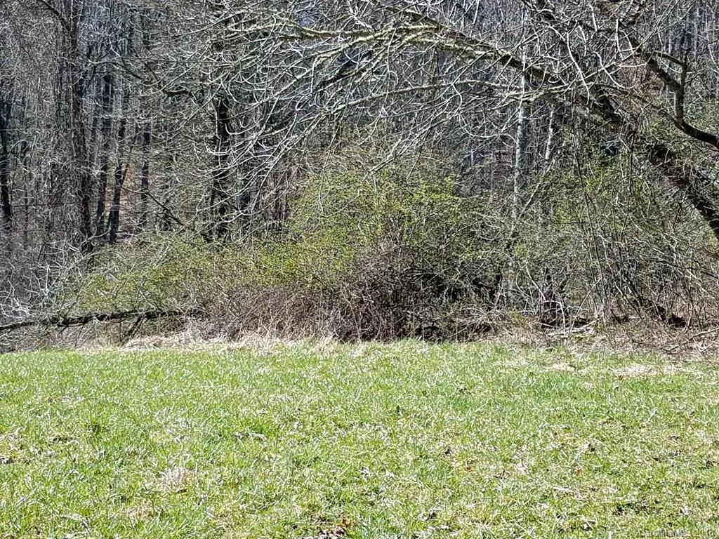 0 Cub Howell Road Bakersville, NC 28705 - Photo 7 of 7 a view of backyard with green space