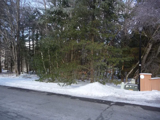 a view of a yard with trees