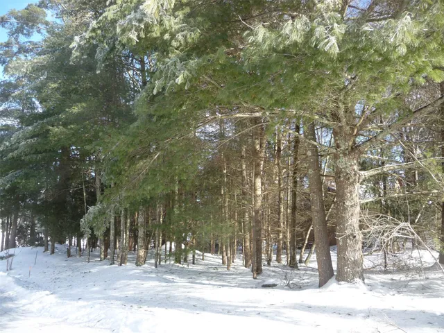 a view of a outdoor space with trees