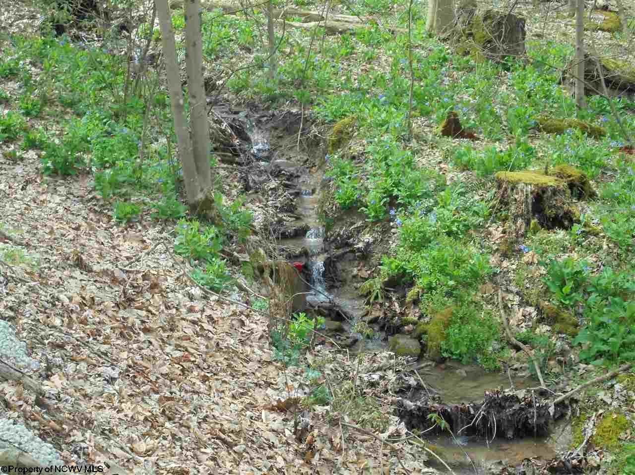 54 Lake Side Road Terra Alta, WV 26764 - Photo 18 of 20 Gallery Image 18