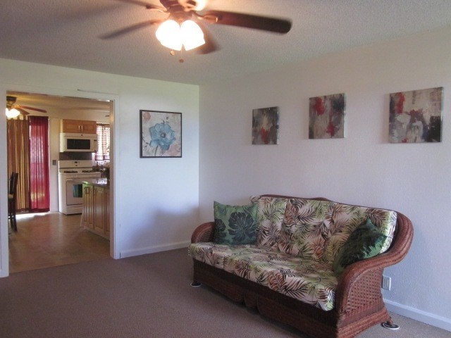 18-1202 Ana Road Mountain View, HI 96771 - Photo 5 of 14 Gallery Image 5