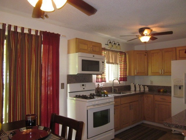 18-1202 Ana Road Mountain View, HI 96771 - Photo 8 of 14 Gallery Image 8