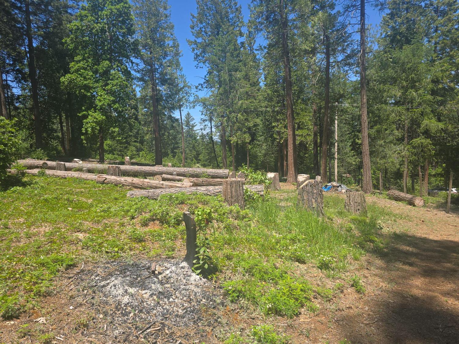 12181 Robust Way Nevada City, CA 95959 - Photo 2 of 7