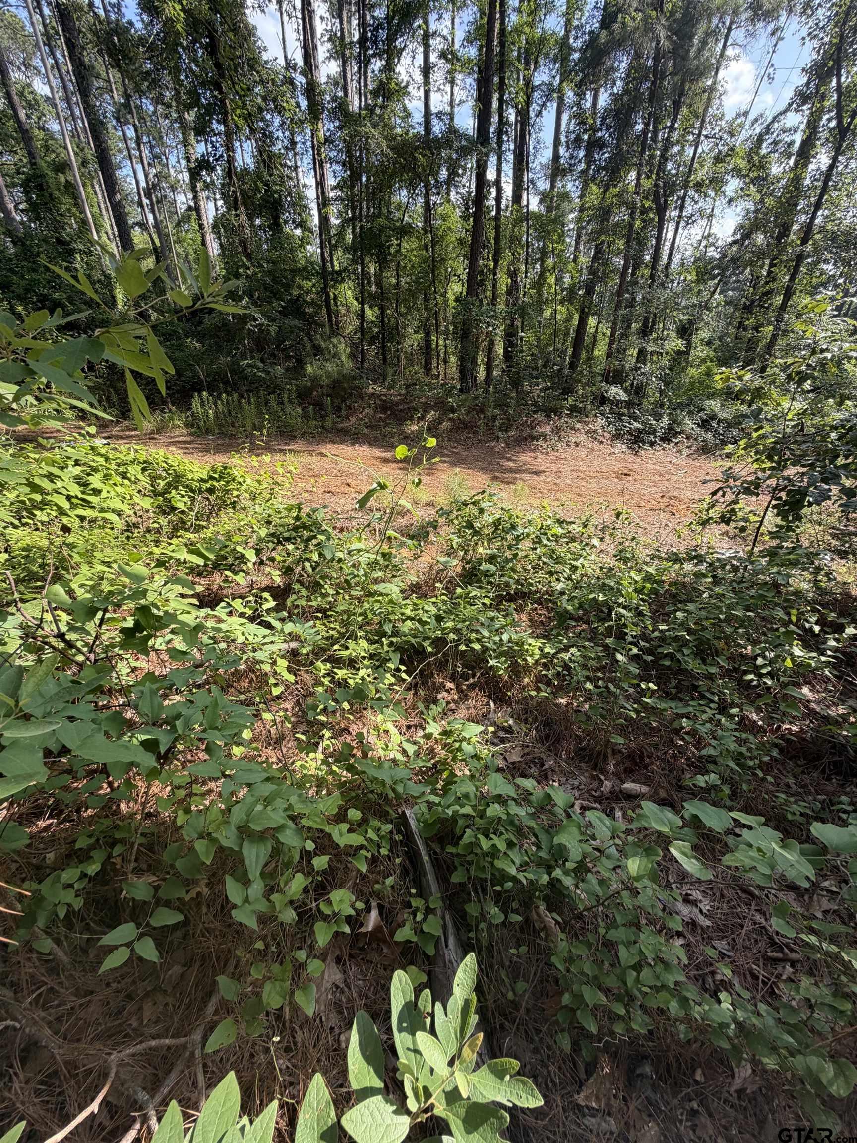 232 Sunset Trail Flint, TX 75762 - Photo 6 of 10