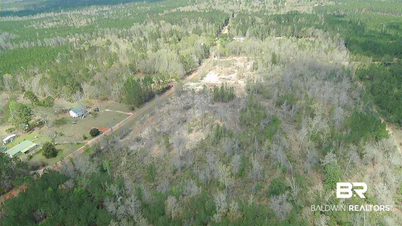 5-6 Dixon Nursery Road Brewton, AL 36426 - Photo 3 of 21