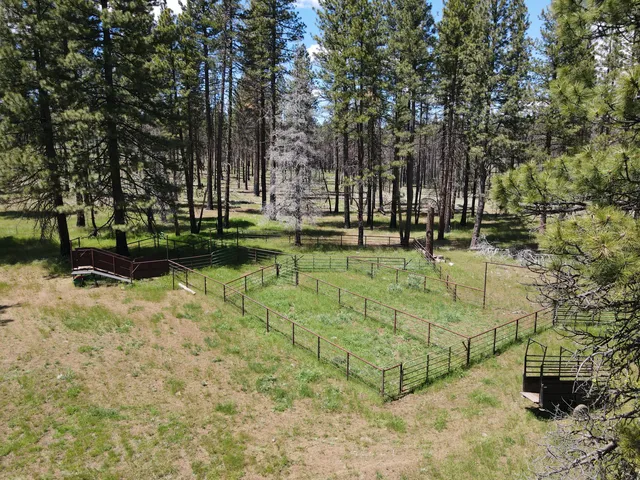 a view of swimming pool