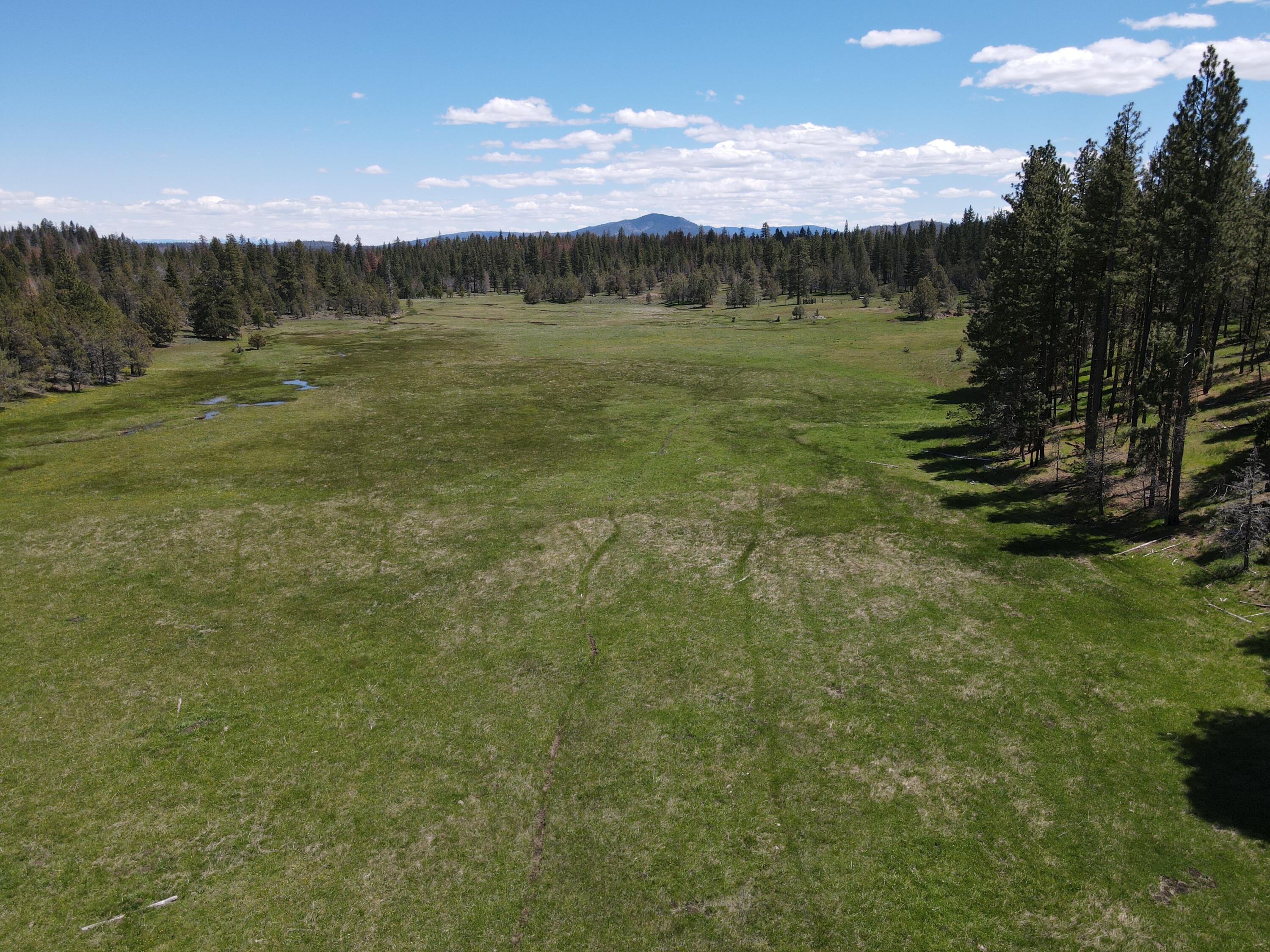 42-n35 42N35 Road Canby, CA 96015 - Photo 3 of 3 a view of a lake in middle of the forest