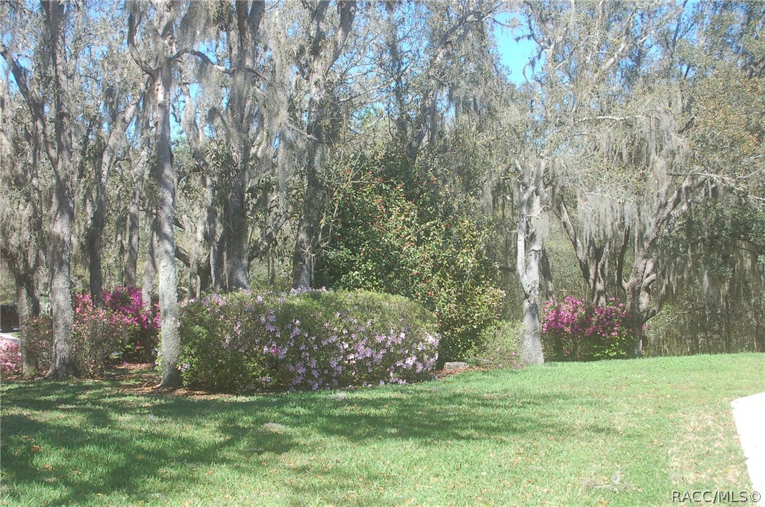 4161 North Longvalley Road Hernando, FL 34442 - Photo 65 of 71