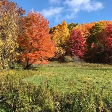 $375,000 | 6540 Old Rhine Street, Naples, NY 14512